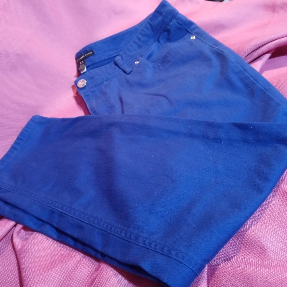 CHICOS WOMENS JEANS 2.5 SIZE RARE-TAPERED LEG